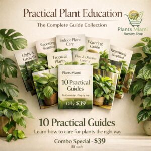 10 Practical Guides