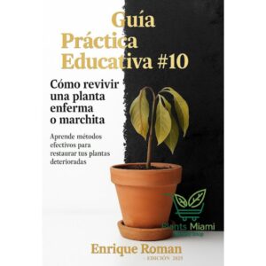 Como revivir una planta enferma