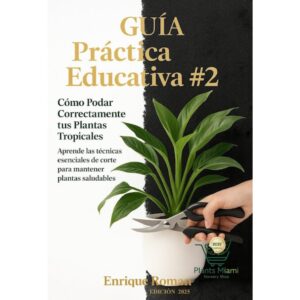Como regar correctamente tus plantas